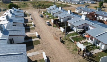 SE DESCART LA PRESENCIA DE BICHOS TALADRO EN EL BARRIO EX FOECYT